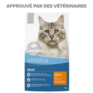 Carrefour companino croquettes pour chat adulte au poulet 3kg