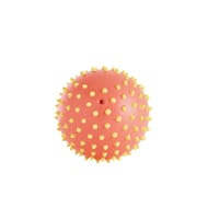 Toplife ballon d'éveil 15 cm