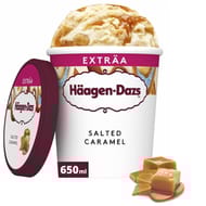 Haagen dazs pot salted caramel extra format 955ml 560g