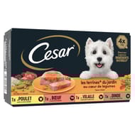 Cesar pâtée pour chien aux légumes en terrine 4x150g