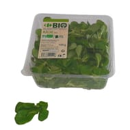 SALADE MACHE BIO BARQUETTE 100G CARREFOUR BIO