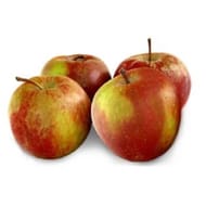Pomme boskoop fqc vrac le kilo