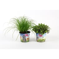 Nourriture animaux pot 12 cm potcover