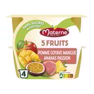 Materne compotes coupelles 5 fruits exotique 4x100g