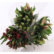 Bouquet alstromeria