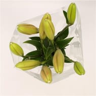 Bouquet de lys x3
