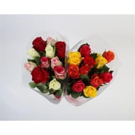 Roses 50 cm x 11 50 cm arlequin tc tf