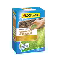 Algoflash semences gazon terrain sec ensoleillé 2,5kg