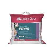 Blanrêve oreiller ferme 60x60cm