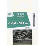 Pointe tête plate acier 2.4x50mm 140 gr