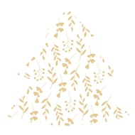 12 serviettes forme sapin leafy or fond blanc