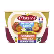 Materne Compotes coupelles multivariétés 12x100g
