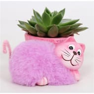 Mini plante pot 7cm chat fluo