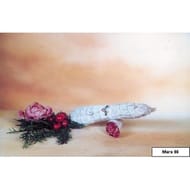 Saucisson monco