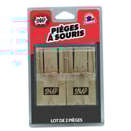 Carte 2 pieges souris