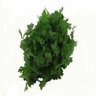 CORIANDRE FRAICHE BOTTE