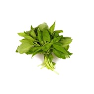Basilic frais botte