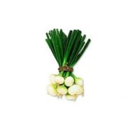 Oignon blanc botte