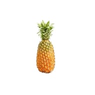ANANAS PAIN DE SUCRE LA PIECE