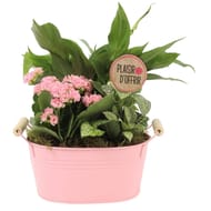 Composition Ephémeride - zinc 2 plantes décoration assortie