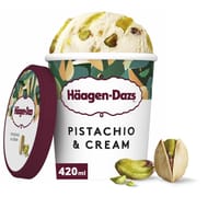Haagen Dazs pot pistache et crème 420ml 347g