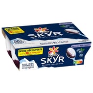 Skyr 0%mg sur lit de myrtille 4x100g offre découverte