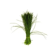 Ciboulette botte fraiche