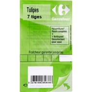10 tulipes assortis ton frond
