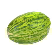Melon vert pièce