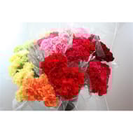 Bouquet de 7 oeilllets