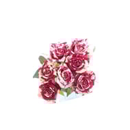 Bouquet de 7 roses abracadabra