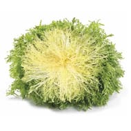 Salade frissée fine pièce