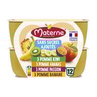 Materne ssa pomme ananas /pomme kiwi/pomme passion/pomme banane 12x100g-1200g