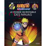 Naruto Shippuden : le monde incroyable des ninjas