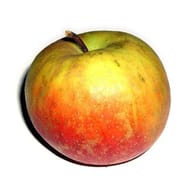 Pomme boskoop