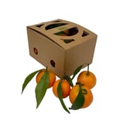 CLEMENTINE FEUILLE BIO BARQUETTE 750G CARREFOUR BIO
