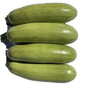 Courgette blanche vrac