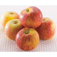 Pomme reine reinette vrac