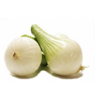 Oignon blanc frais vrac