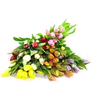 7 tulipes unicolores coloris assortis