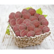 PECHE DE VIGNE VRAC