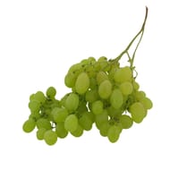 RAISIN BLANC SANS PEPIN VRAC