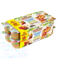 Andros dessert fruitier panaché sans sucres ajoutés 12+4 offerts
