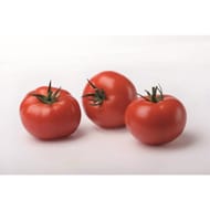 TOMATE RONDE MOYENNE CRF
