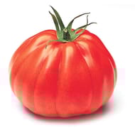 Tomate cotelée rouge vrac
