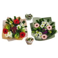 Bouquet de la semaine ton chaud ton froid