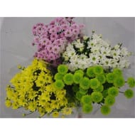 Bouquet de 5 santinis