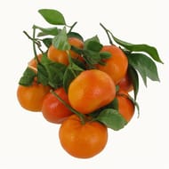 Mandarine feuille vrac