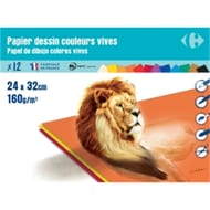 Carrefour pochette dessin couleurs vives 24x32 12 feuilles 160 grammes
