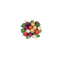 RADIS MULTICOLORE BOTTE